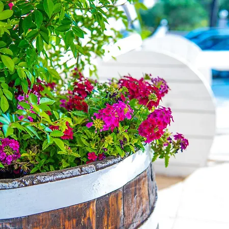 Kouros & By Hotelius * Agios Stefanos Avliotes (Corfu)