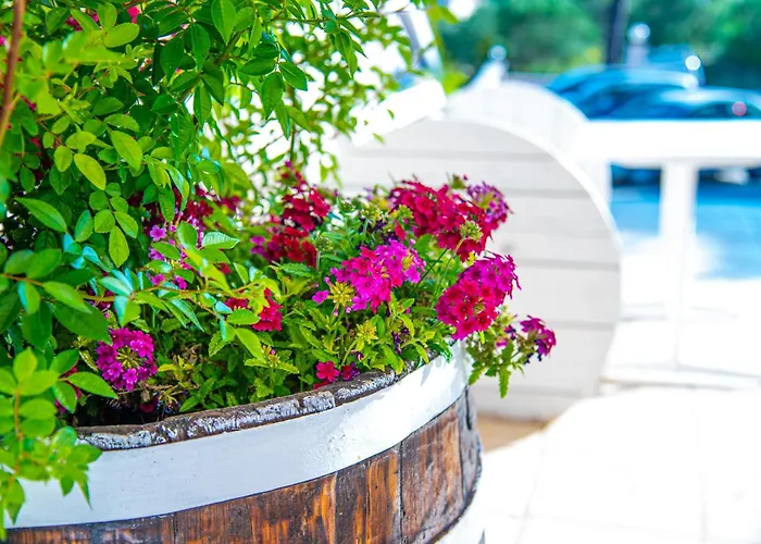 Kouros & By Hotelius * Agios Stefanos Avliotes (Corfu)